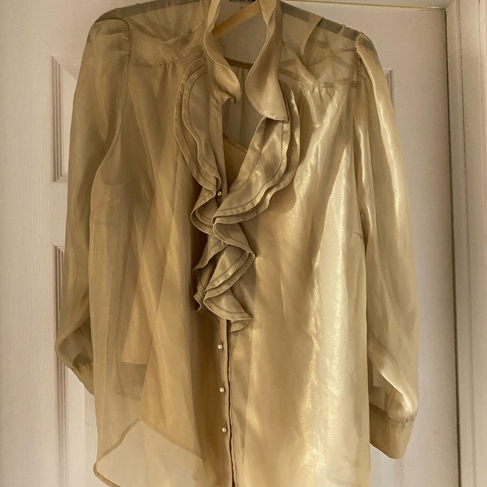 Peter Nyguard Gold Sheer Blouse. Worn once.
